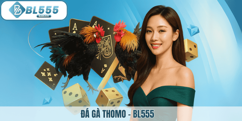 Ảnh đại diện đá gà thomo tại bl555