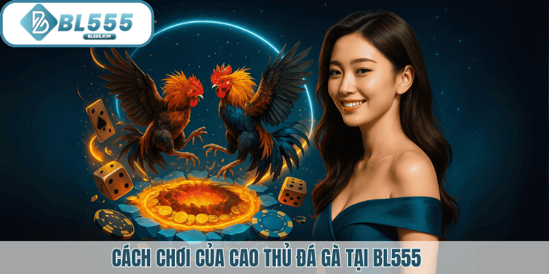Cách chơi của cao thủ tại BL555