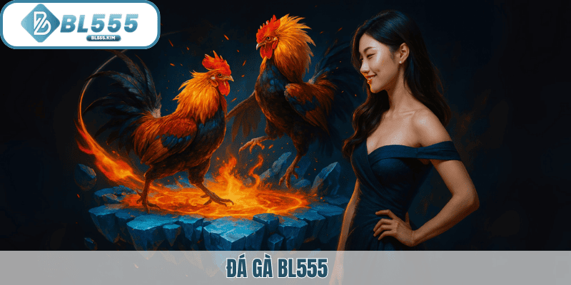 Đá gà Bl555 ảnh đại diện