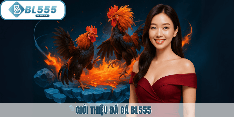 Giới thiệu đá gà BL555