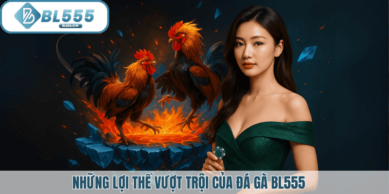 Những lợi thế vượt trội của đá gà BL555