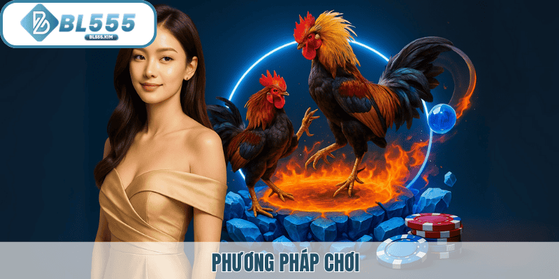Phương pháp chơi đá gà tại trường gà savan tại BL555