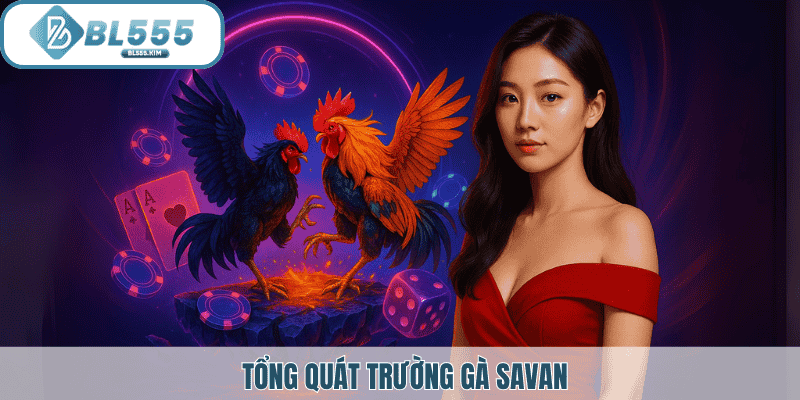 Tổng quan trường gà savan BL555